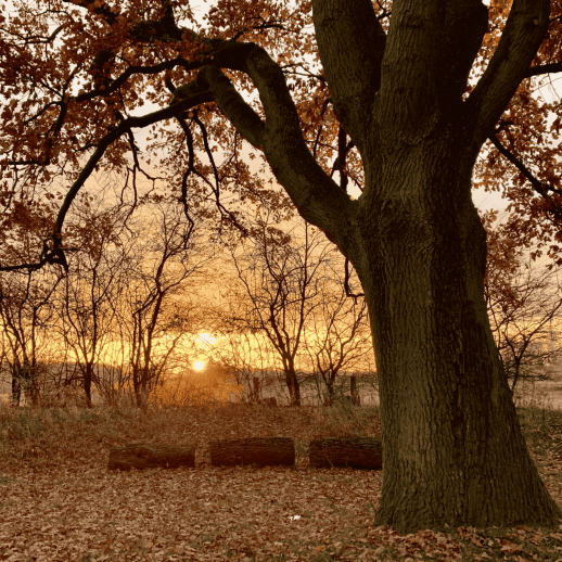 Bildschirmfoto 2025-05-16 um 15.23.45