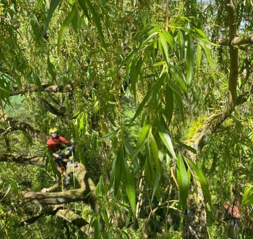 PHOTO-2025-06-10-19-07-22