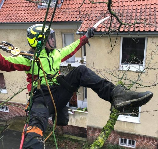 WhatsApp Image 2025-06-10 at 19.11.32